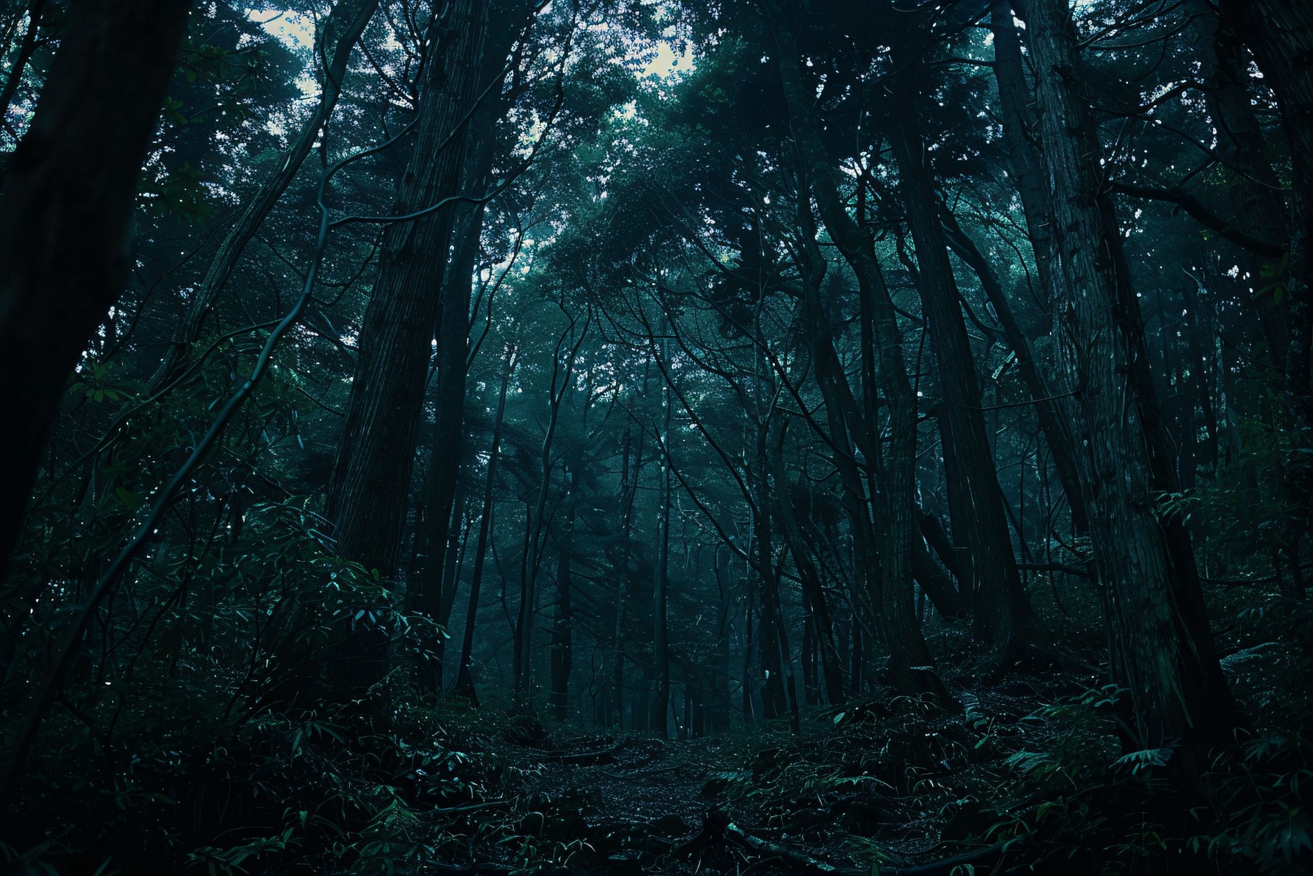 foret-aokigahara-est-sombre